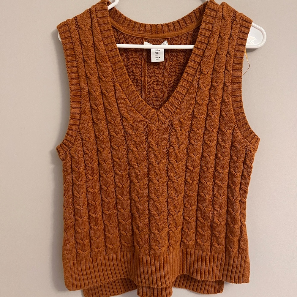 cupcakes & cashmere Cable Knit V-Neck Sweater Vest - Rust Brown